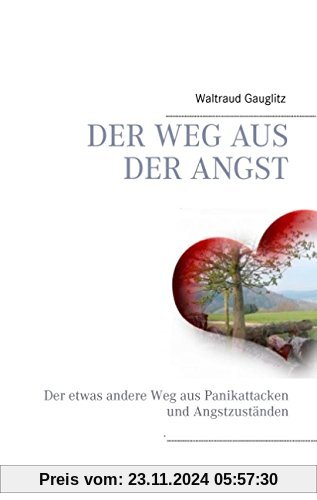 Der Weg aus der Angst: Der etwas andere Weg aus Panikattacken und Angstzuständen