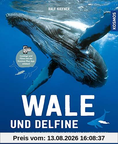 Wale & Delfine: Eine spannende Expedition ins Reich der sanften Riesen