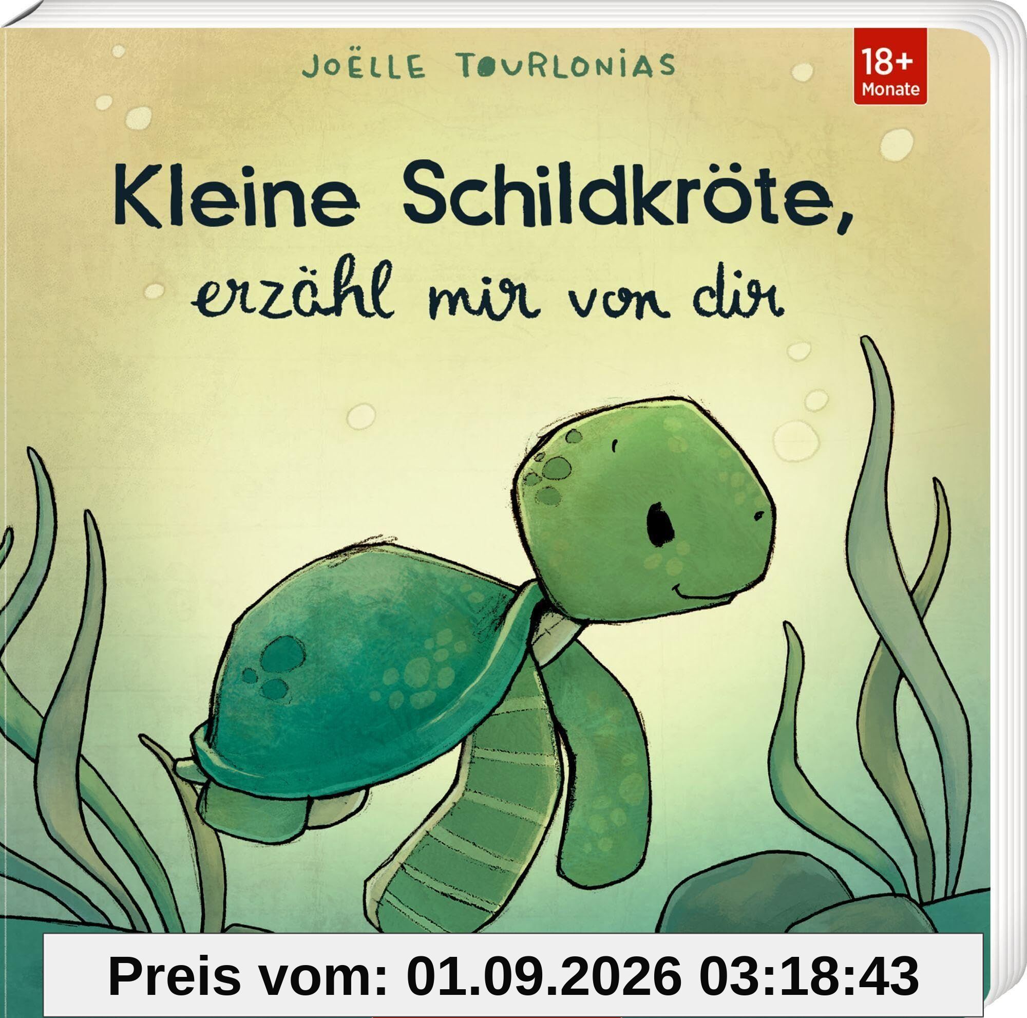 Kleine Schildkröte, erzähl mir von dir