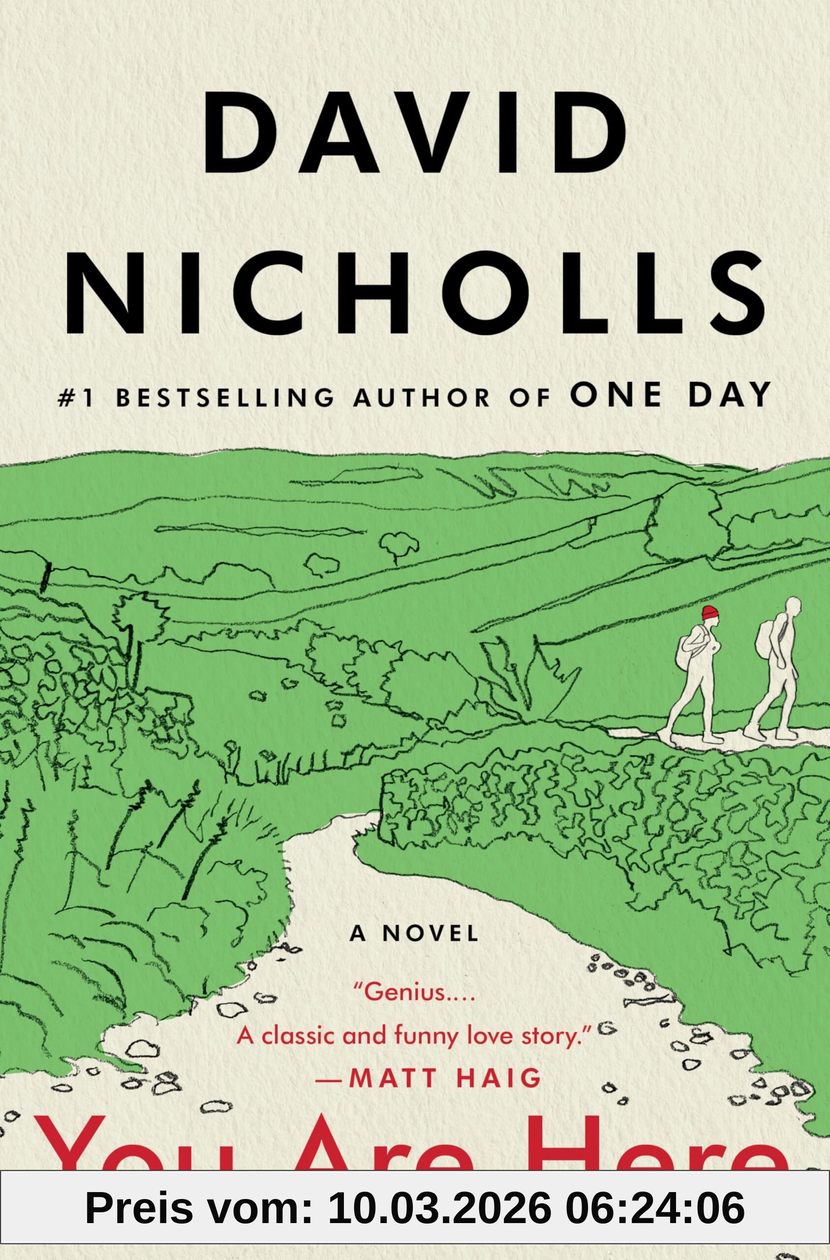 David Nicholls You Are Here, A Novel