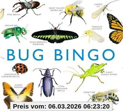 Christine Berrie Bug Bingo