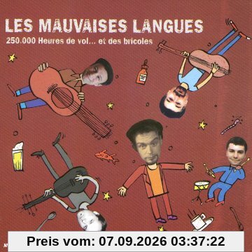 250000 Heures de Vol et des Bricole