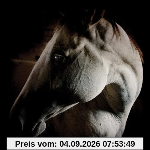 How to Kill a Horse