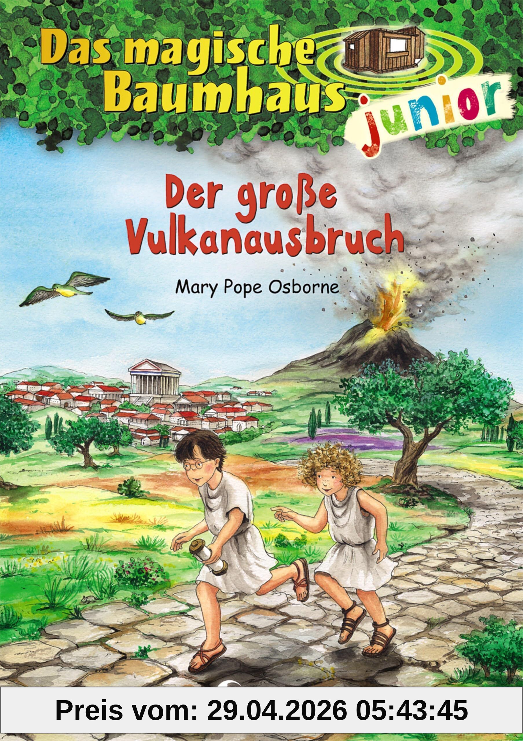 Das magische Baumhaus junior 13 - Der große Vulkanausbruch
