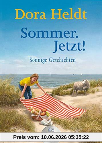 Sommer. Jetzt!: Sonnige Geschichten (dtv großdruck)