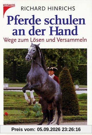 Pferde schulen an der Hand