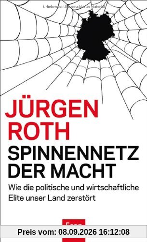 Spinnennetz der Macht: Wie die politische und wirtschaftliche Elite unser Land zerstört