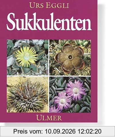Sukkulenten