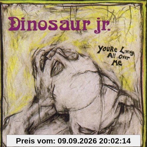 Dinosaur Jr. You're Living All Over Me