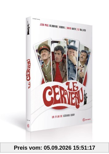 Le cerveau [FR Import]