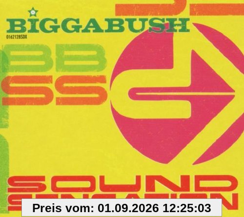 Biggabush-Sound Sensation