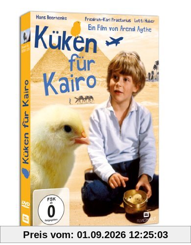 Küken für Kairo