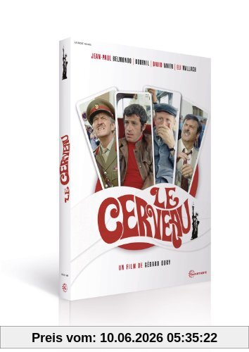 Le cerveau [FR Import]