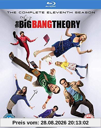 Big Bang Theory S11 [Edizione: Regno Unito] [Blu-ray] [Import italien]