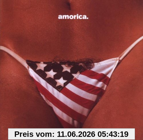 the Black Crowes Amorica