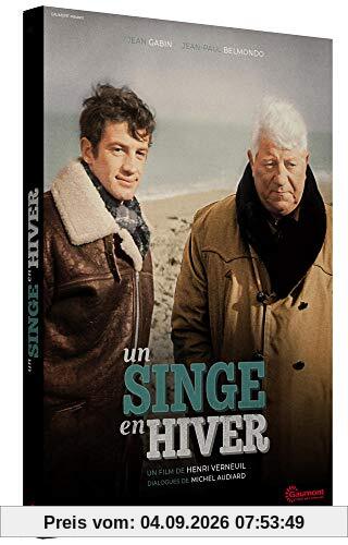 Un singe en hiver [FR Import]