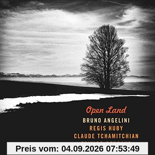 Bruno Angelini - Open Land