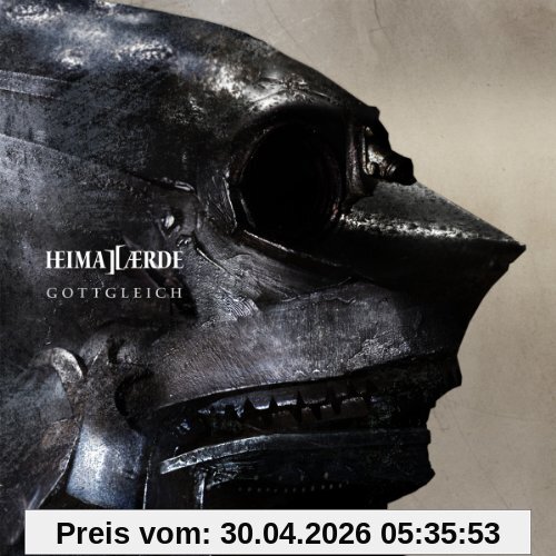 Gottgleich [CD + Hörbuch]