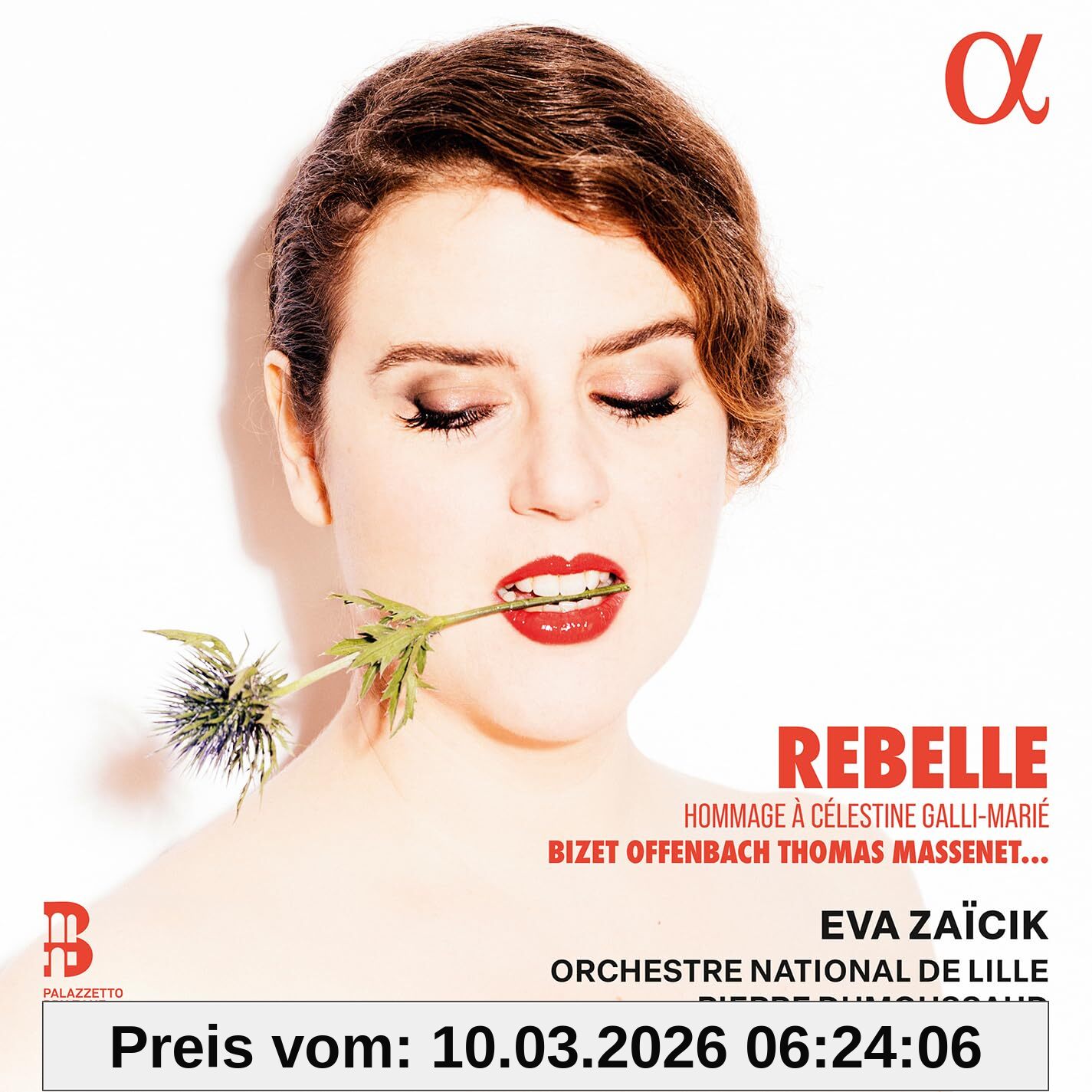 unbekannt Rebelle