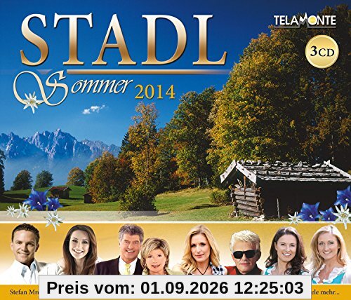 Stadl-Sommer 2014