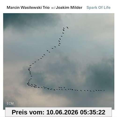 Wasilewski, Marcin Trio Spark Of Life