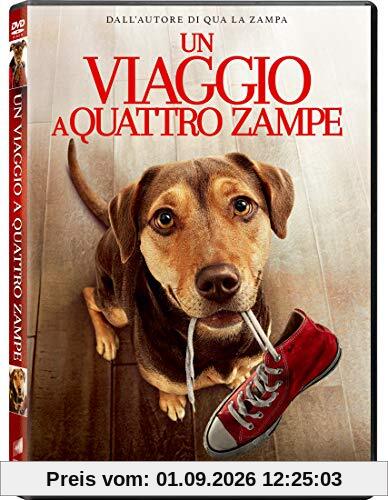 Un Viaggio a Quattro Zampe