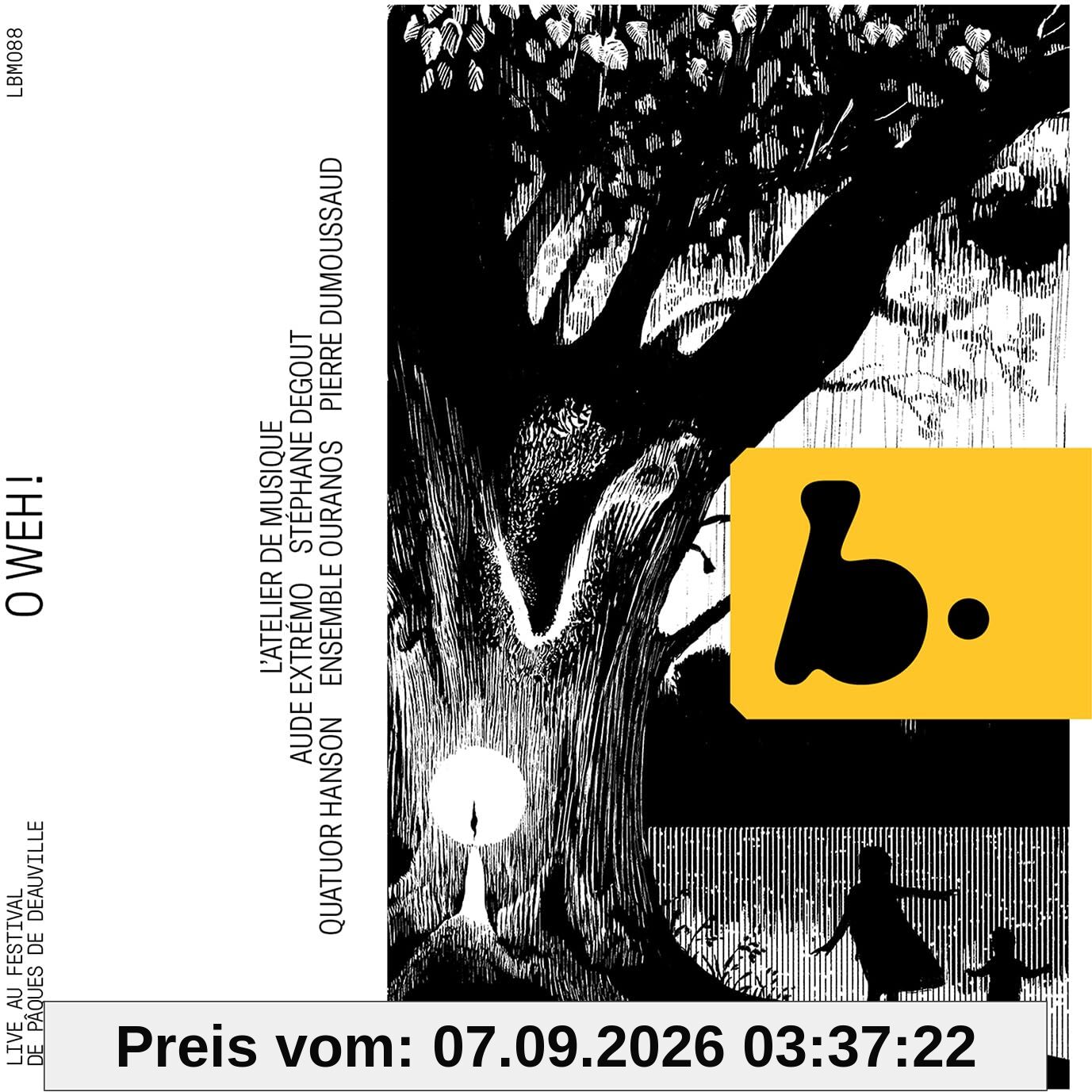 Mahler / Reger: Lieder [O weh!]