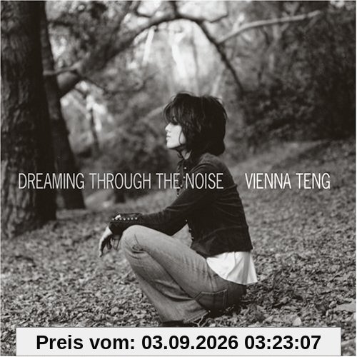 Dreaming Through the Noise