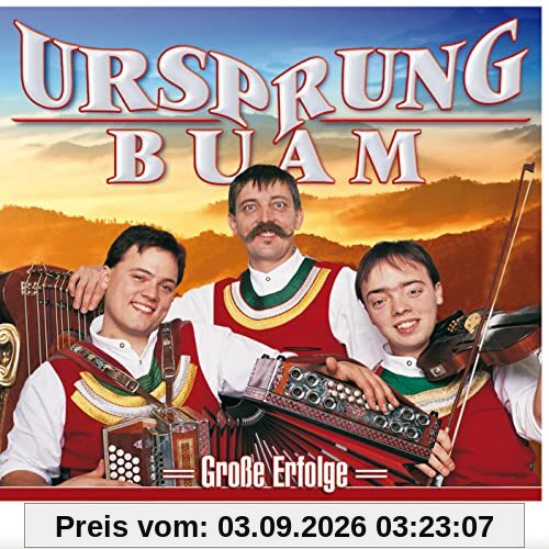 Große Erfolge - 30 Lieder