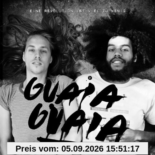 Eine Revolution ist viel zu wenig