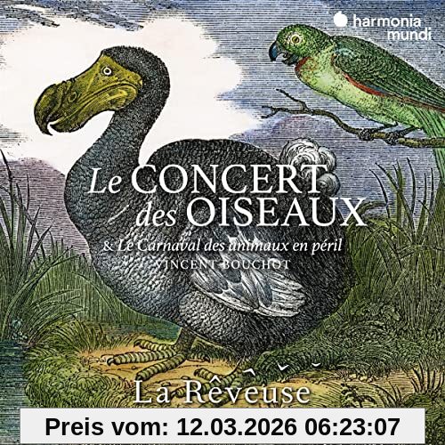 La Rêveuse Le Concert Des Oiseaux
