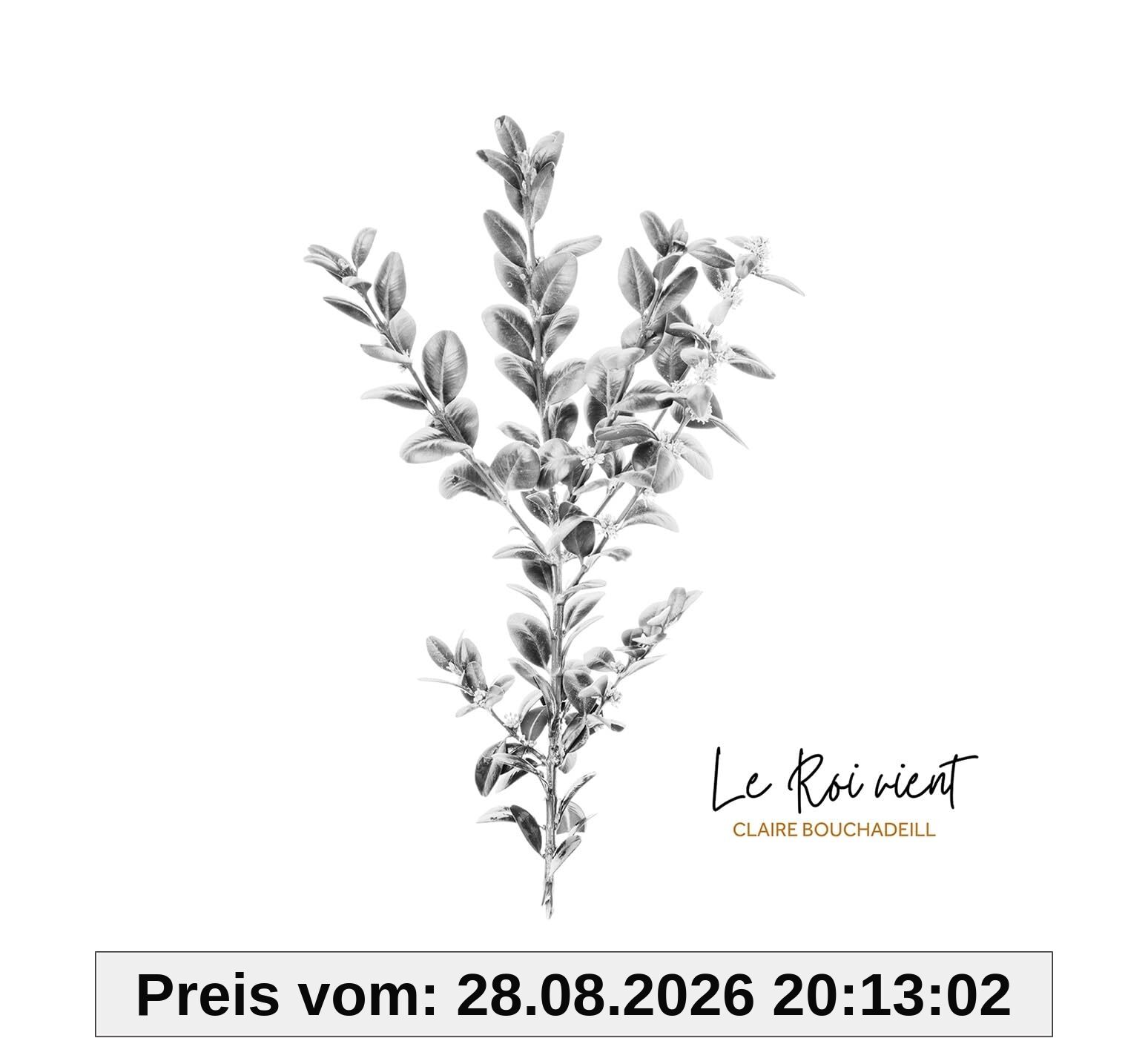 Le Roi vient