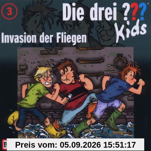 003/Invasion der Fliegen