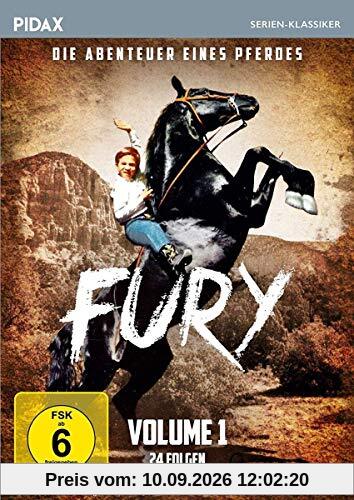 Fury - Die Abenteuer eines Pferdes, Vol. 1 / Die ersten 24 Folgen der Kultserie (Pidax Serien-Klassiker) [4 DVDs]