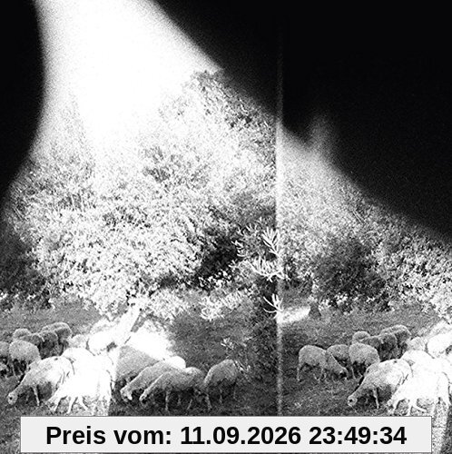 Godspeed You! Black Emperor Asunder, Sweet And Other Distress