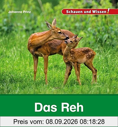 Das Reh: Schauen und Wissen!