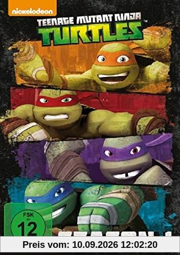 Teenage Mutant Ninja Turtles - Season 1 [4 DVDs]