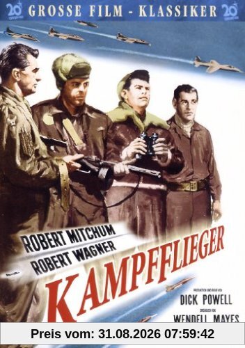 Die Kampfflieger