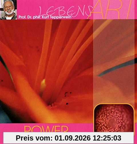 Im Gewinner-Bewusstsein Leben