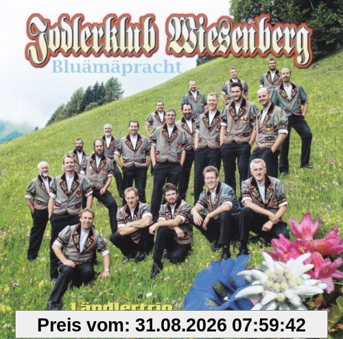Bluämäpracht