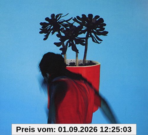 Sunlit Youth
