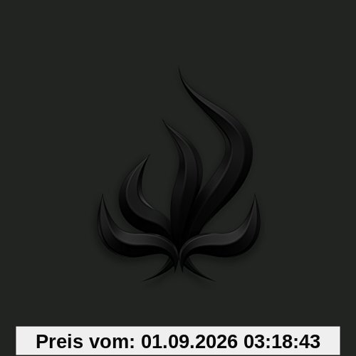 Black Flame