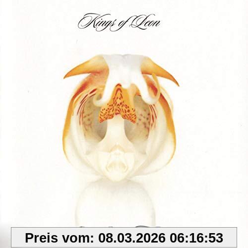 Kings of Leon Aha Shake Heartbreak