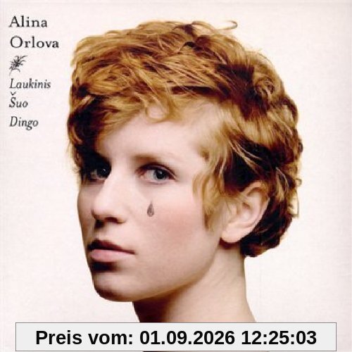 Laukinis Suo Dingo