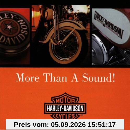 Harley Davidson More Than A Sound!
