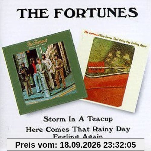 The Fortunes Storm In A Teacup/Here Comes That Rainy Day...