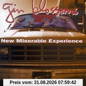 New Miserable Experience