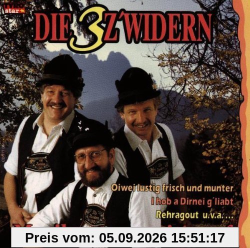 Musikanten Spuit'S auf