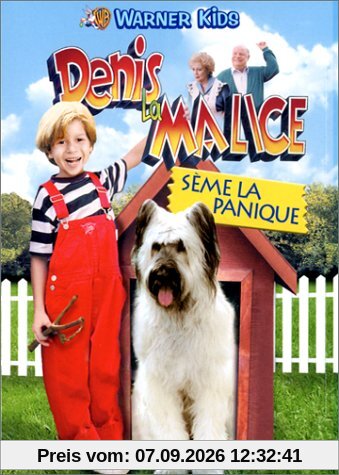 Denis la malice sème la panique [FR Import]