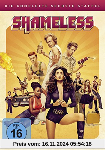 Shameless - Die komplette 6. Staffel [3 DVDs]